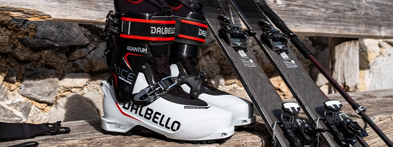 Dalbello